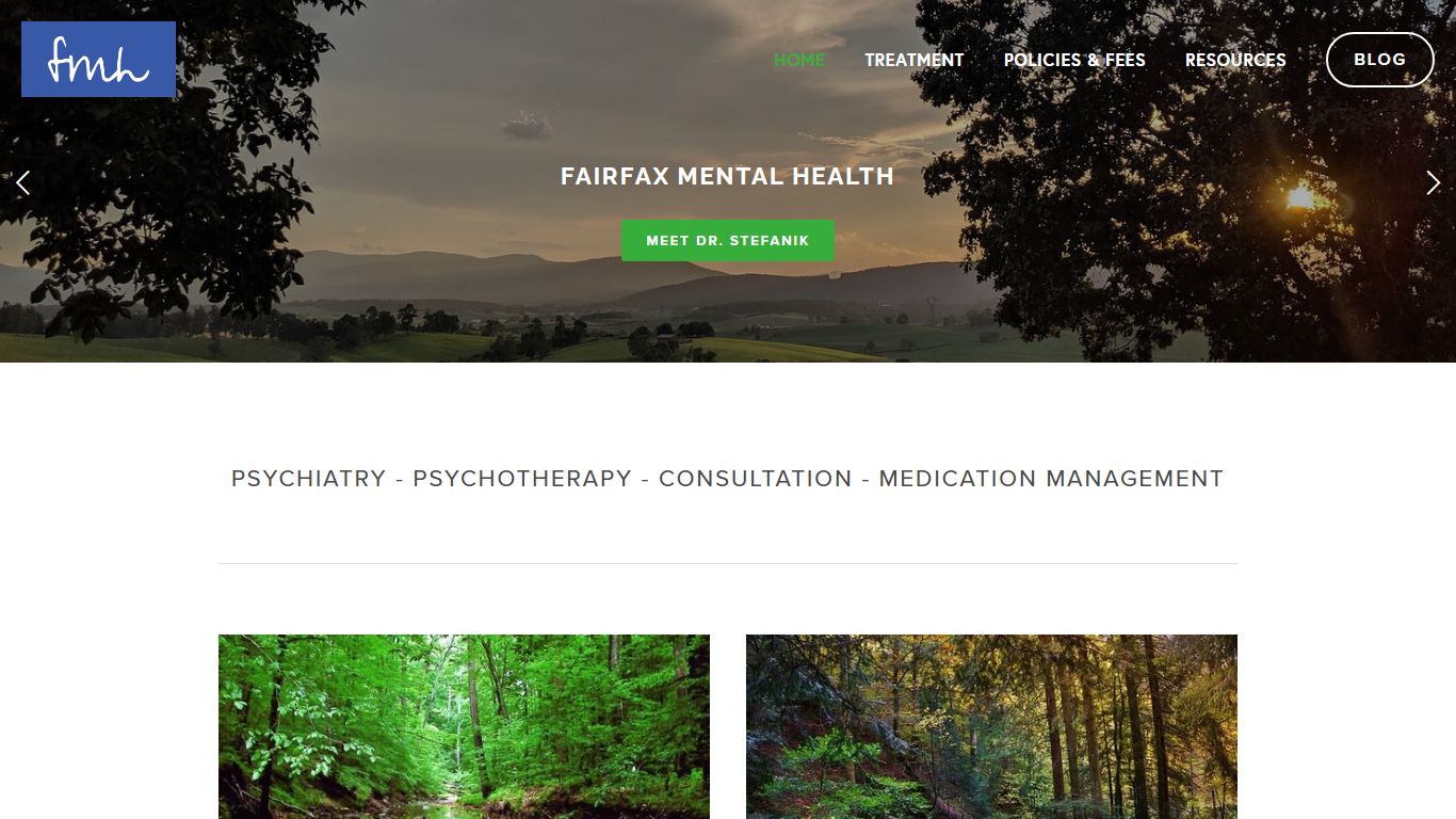 Fairfax Mental Health